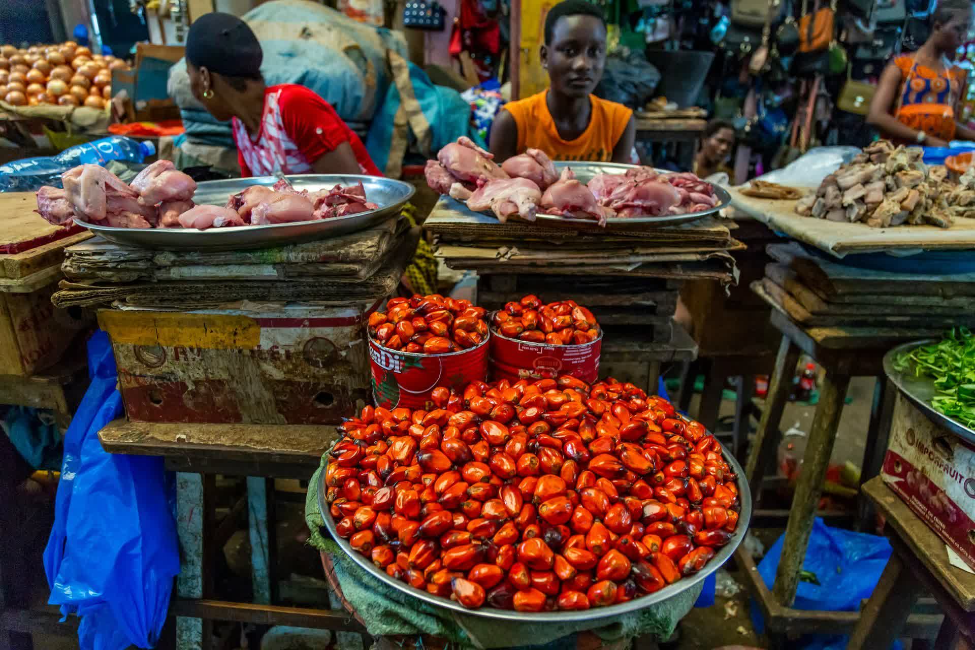 Malawi : chocs climatiques répétés et aggravation de l’insécurité alimentaire
