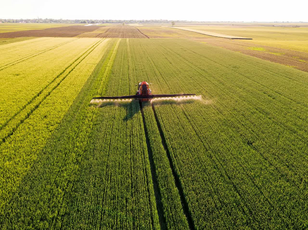 Le manque de politiques nationales intégrées pour la sécurité alimentaire limite la coordination des interventions et empêche une réponse durable à la faim