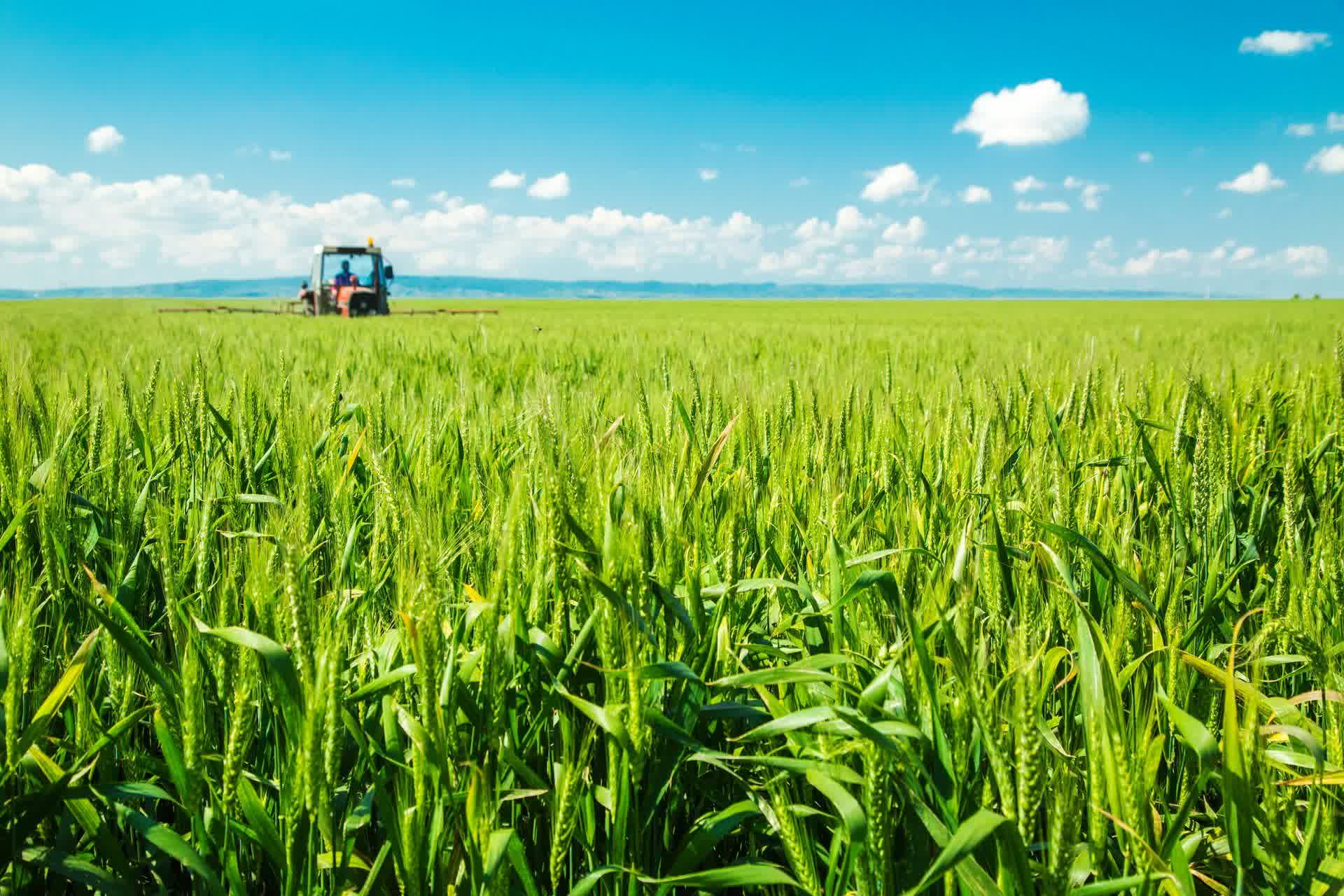 Corée du Nord : isolement extrême, pénuries chroniques et insécurité alimentaire structurelle