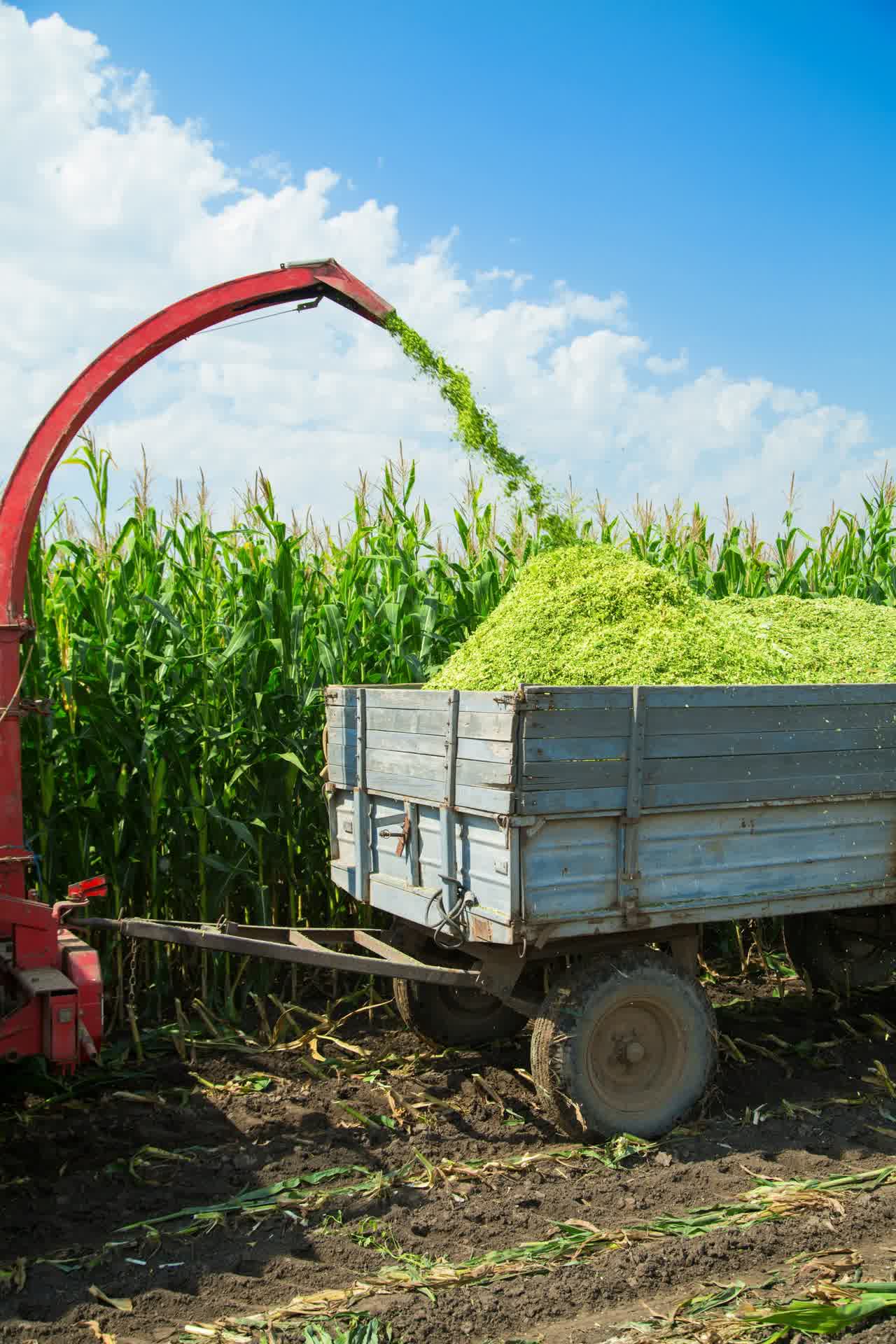 Sécurité alimentaire mondiale : moderniser les systèmes agricoles face aux chocs climatiques