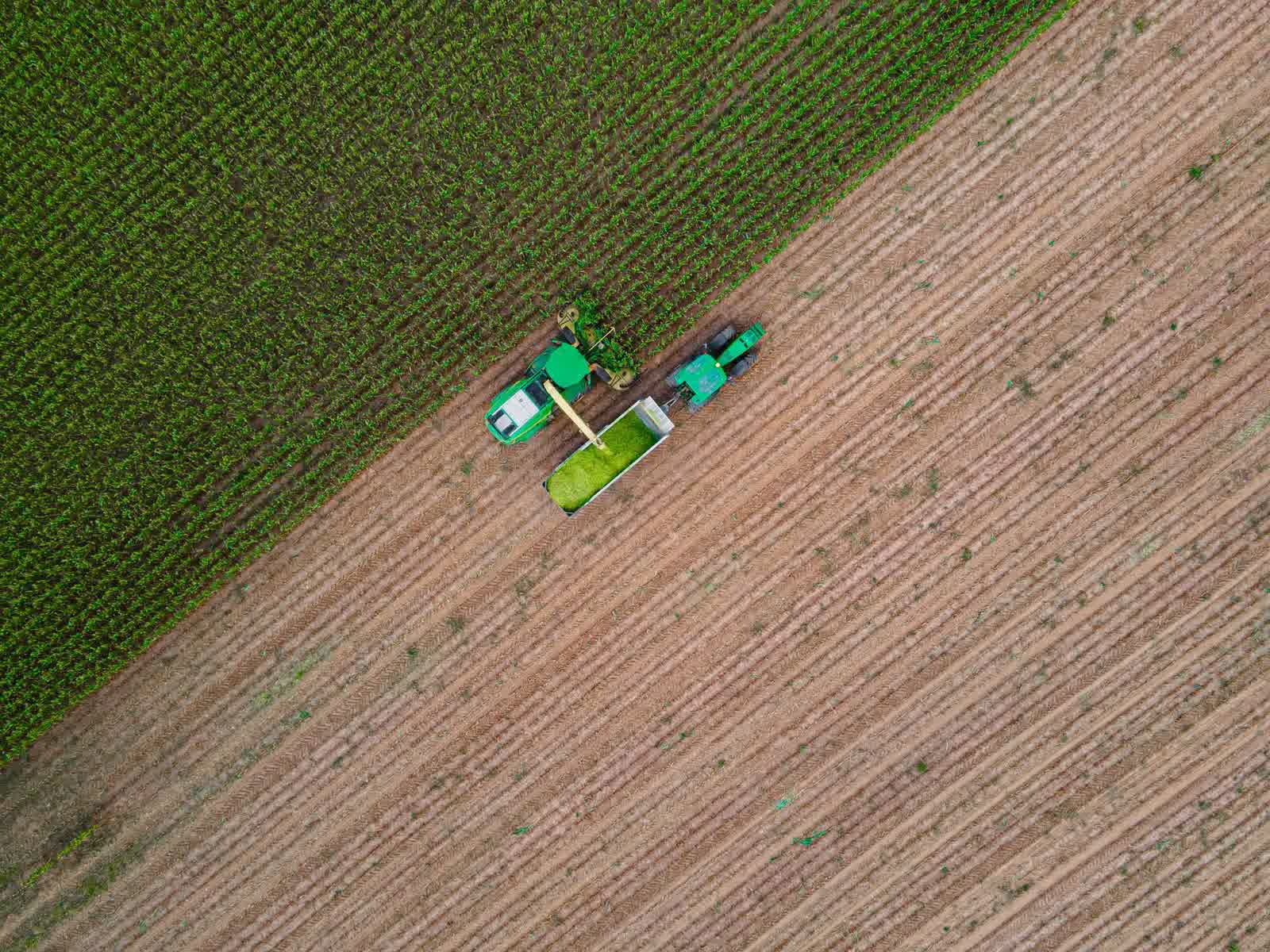 La hausse continue des prix alimentaires affecte disproportionnellement les ménages pauvres