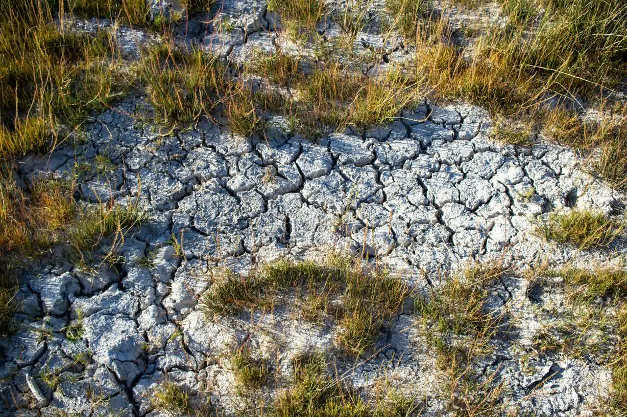 Les crises climatiques entraînent des déplacements massifs de population et redéfinissent les équilibres sociaux, économiques et territoriaux.