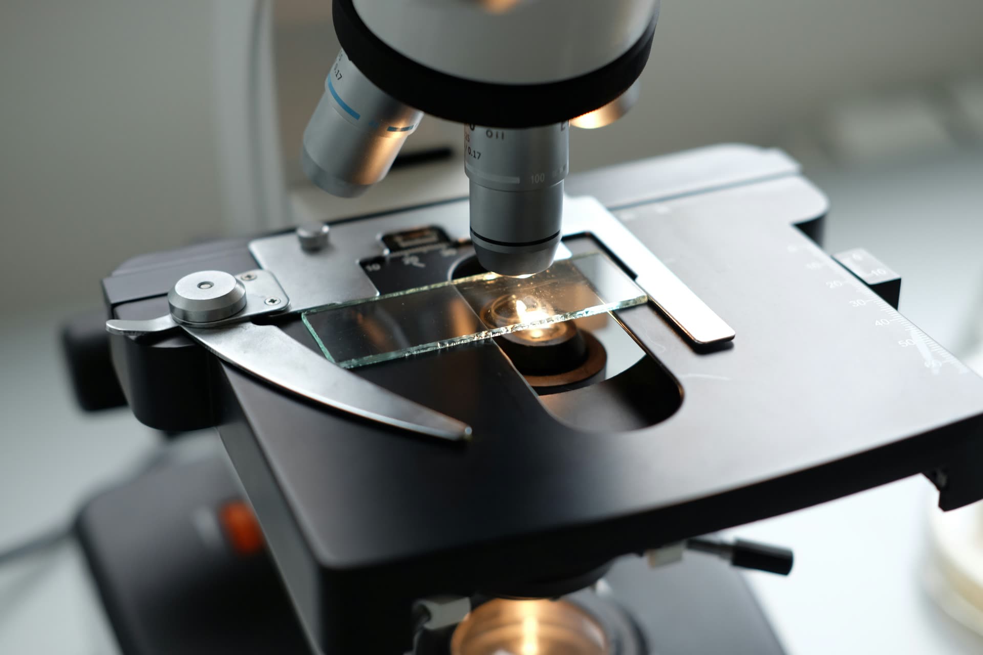 Observatoires mondiaux de l’AMD